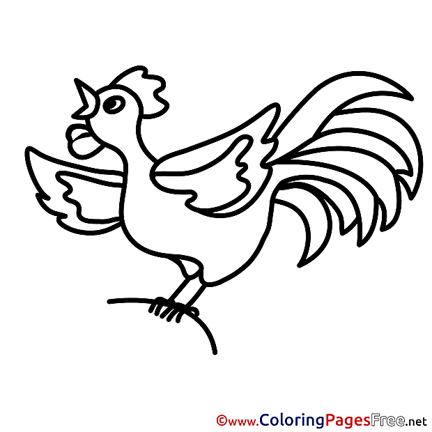 Chicken for free Coloring Pages download