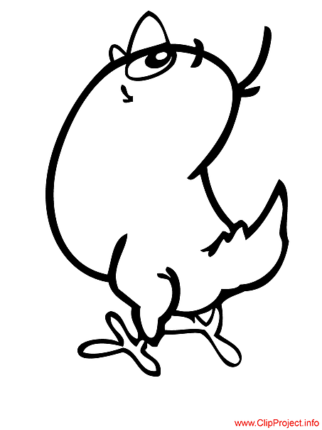 Chicken image to color