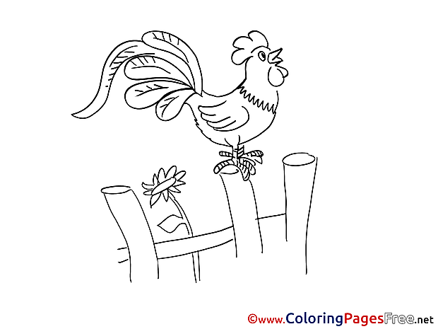 Cock for Kids printable Colouring Page