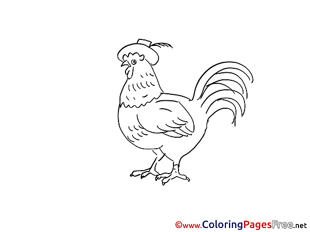 Cock printable Coloring Pages for free