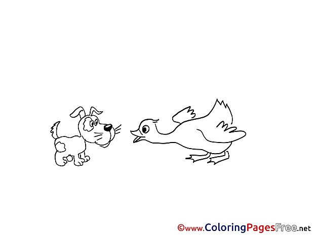 Dog with Bird download Colouring Page