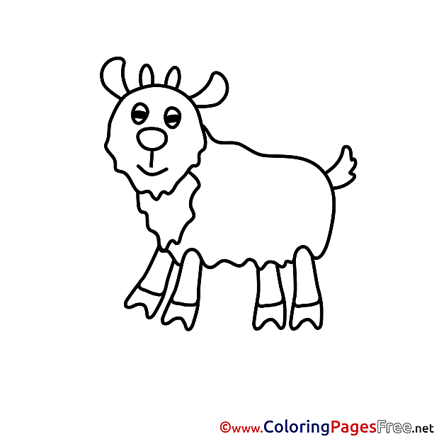 Download Colouring Sheet Sheep free