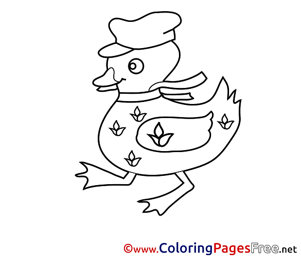 Duck Colouring Sheet download free