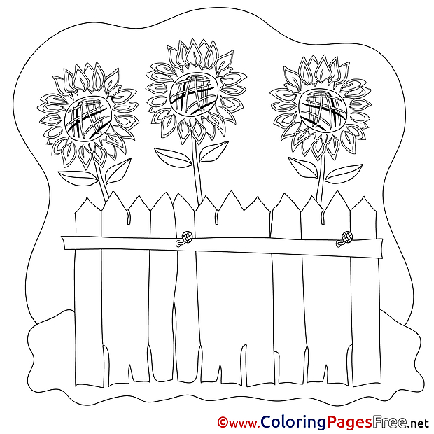 Flowers Coloring Pages for free
