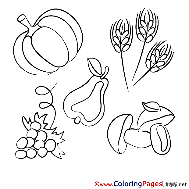 Harvest Coloring Sheets download free