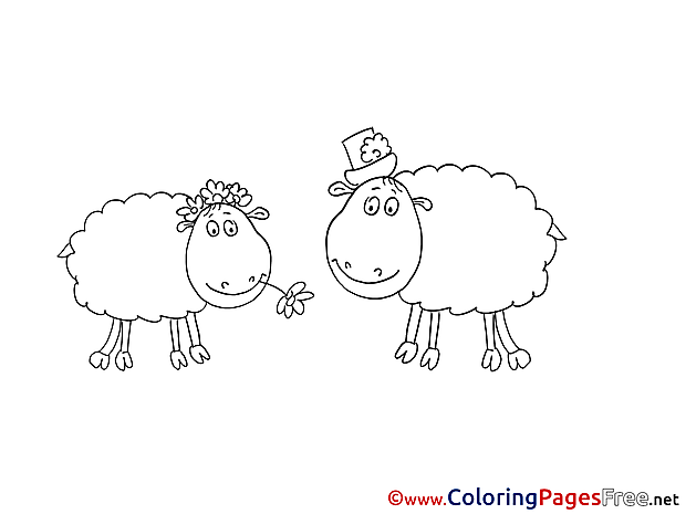 Lambs free Colouring Page download