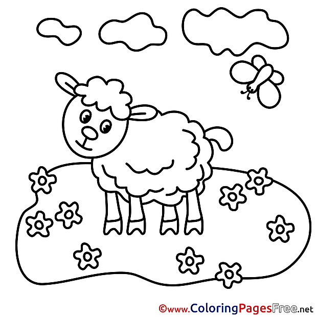 Meadow download Colouring Sheet free