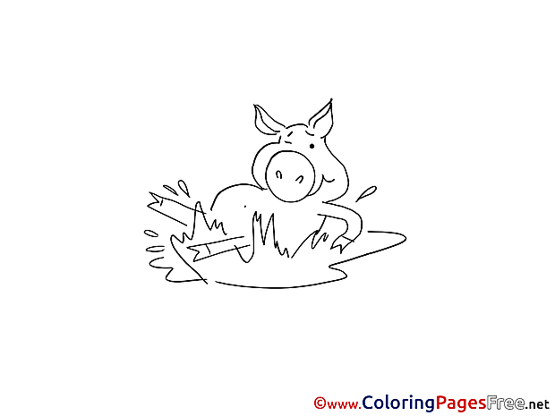 Pig in Mud Children Colouring Page