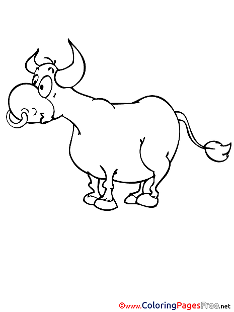 Printable Coloring Pages Bull for free