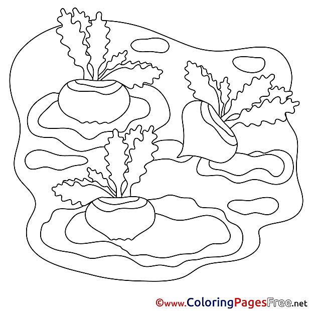 Radish for Children free Coloring Pages