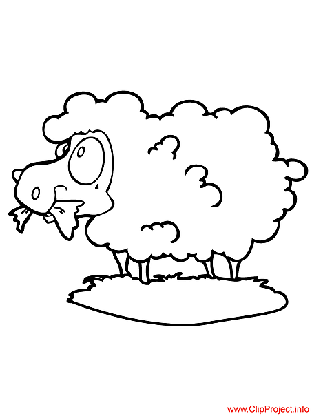 Sheep coloring page for free