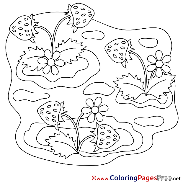 Strawberry printable Coloring Pages for free