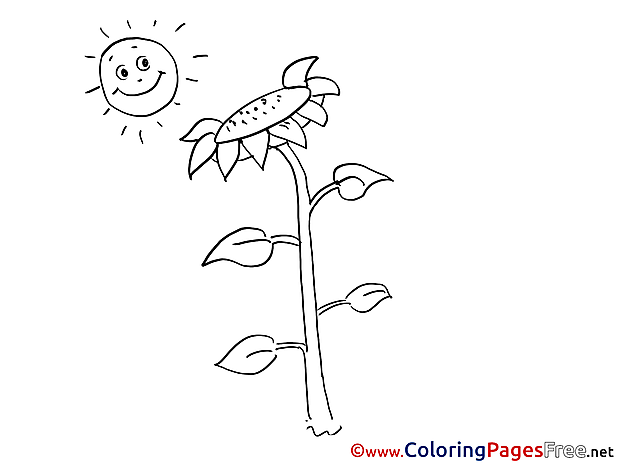 Sun with Sunflower Coloring Sheets free