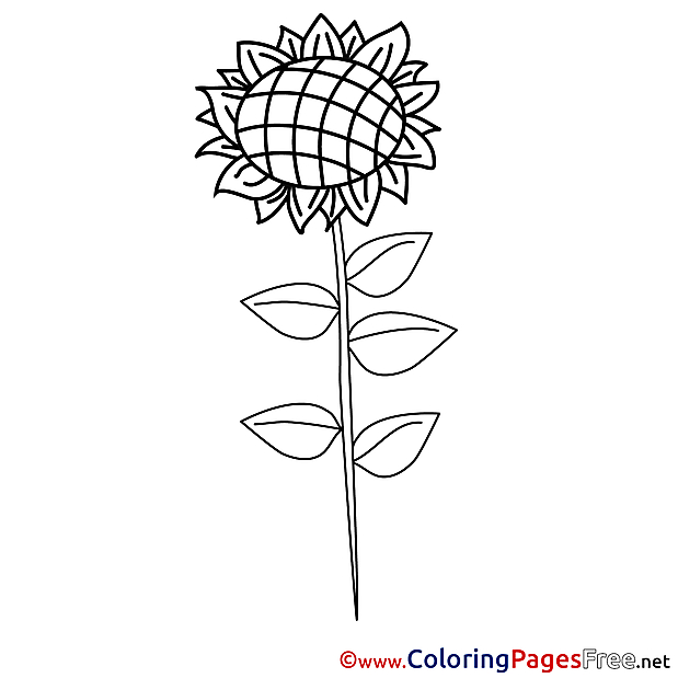 Sunflower Children Coloring Pages free