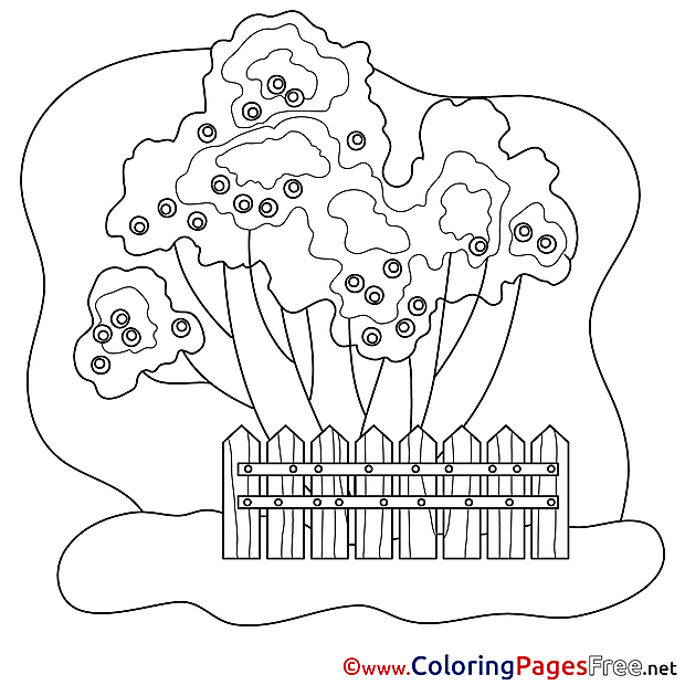 Trees printable Coloring Pages for free