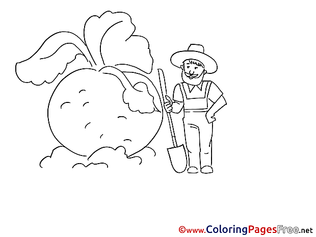 Turnip download Colouring Sheet free