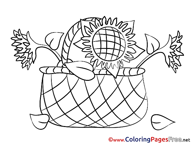 Basket free Colouring Page download