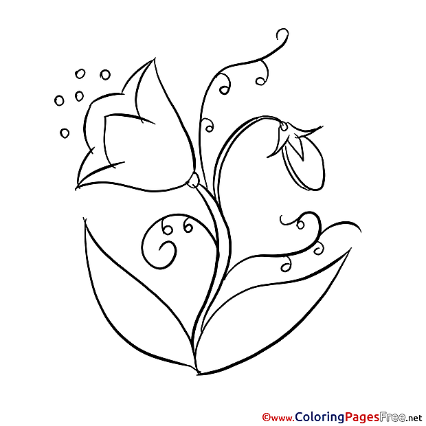 Bluebell download printable Coloring Pages