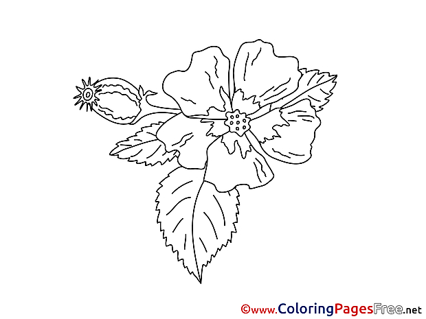 Bud Kids download Coloring Pages