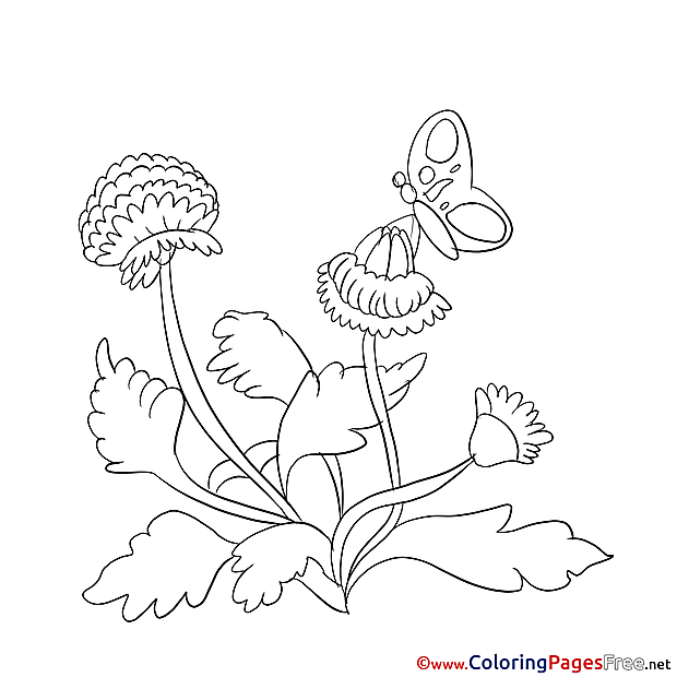 Butterfly printable Coloring Sheets download