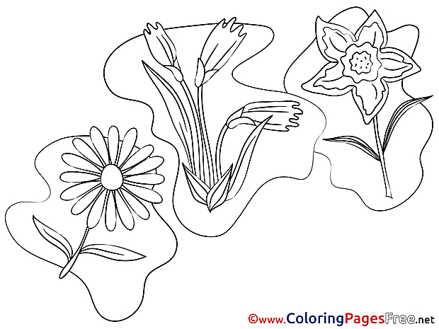 Chamomile Children download Colouring Page