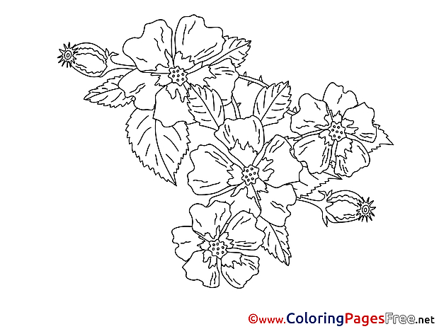 Children Flowers Coloring Pages free