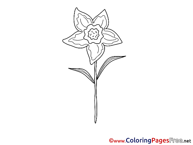 Colouring Sheet Flower download free