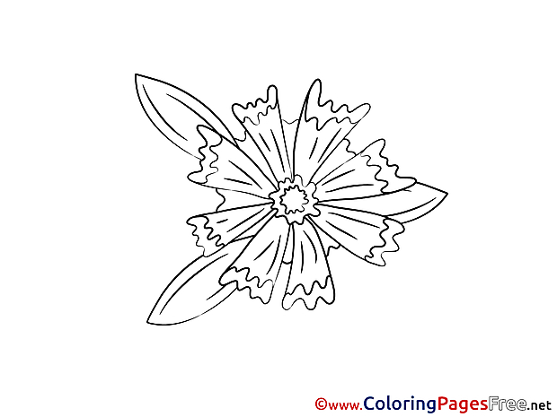 Download Flower printable Coloring Pages