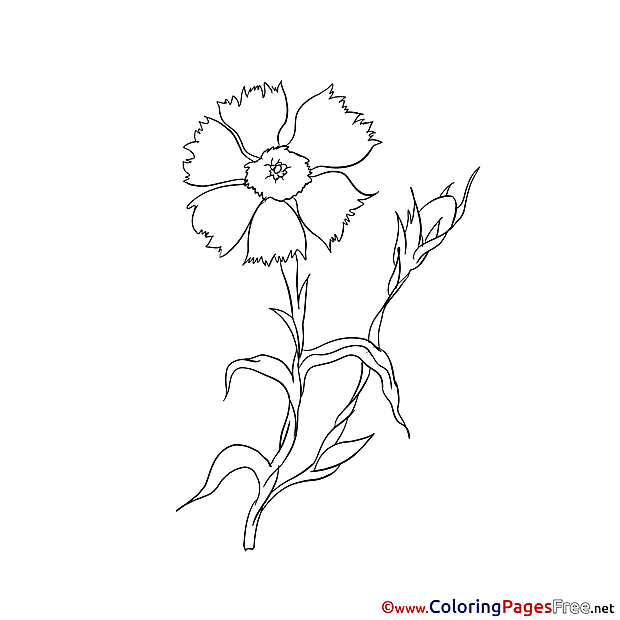 Drawing Colouring Sheet download free
