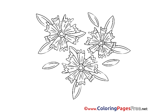 Drawing for free Coloring Pages download