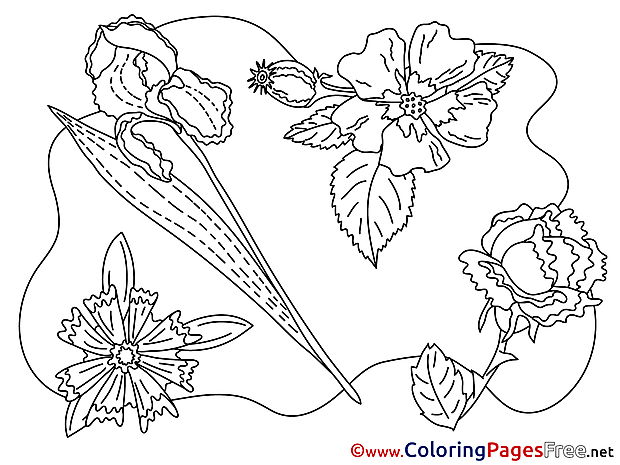 Flowering download Colouring Sheet free