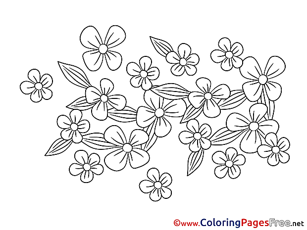 Flowers for Kids printable Colouring Page