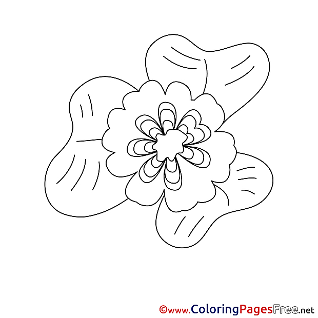 For Kids Flower printable Colouring Page