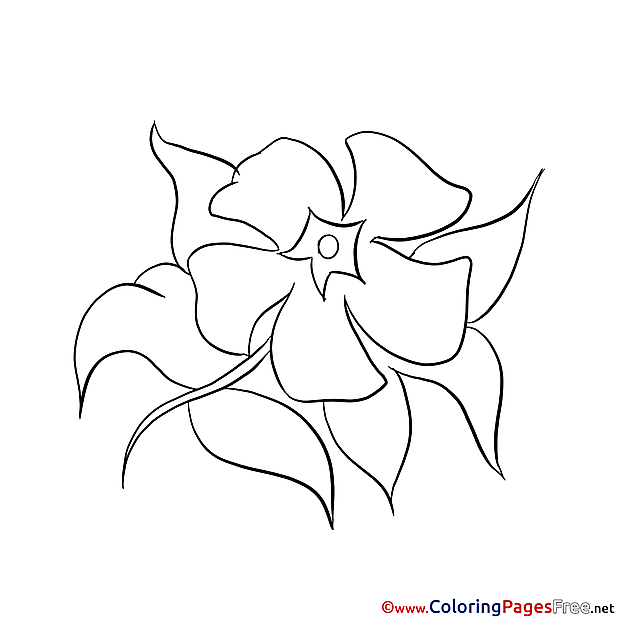 Image Flower for free Coloring Pages download