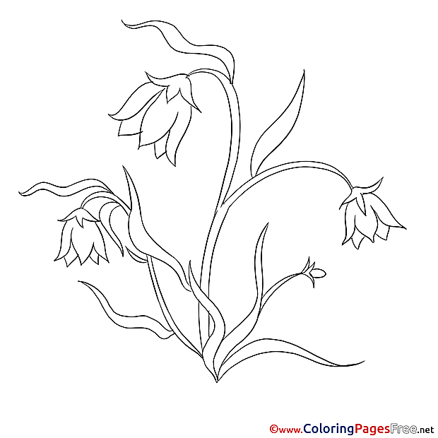 Image Flowers for Kids printable Colouring Page