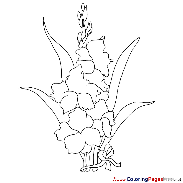Iris for Children free Coloring Pages