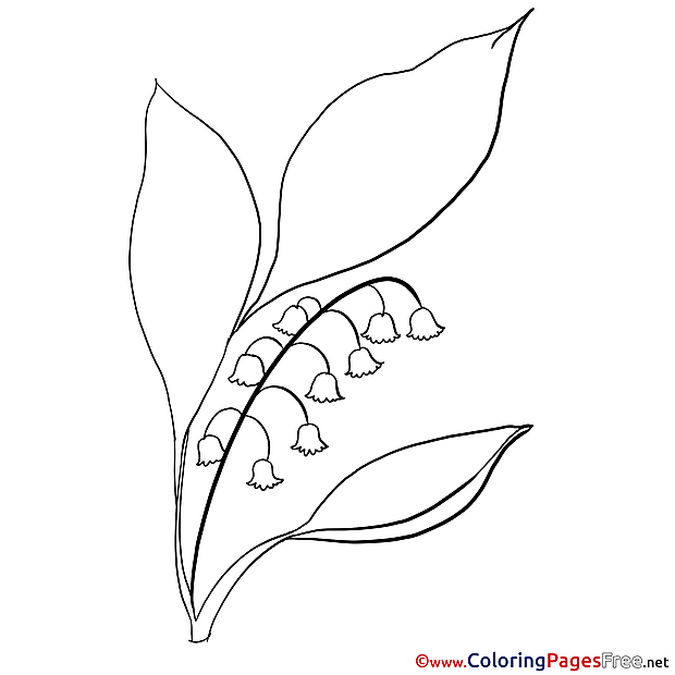 Leaves Flower download Colouring Sheet free 