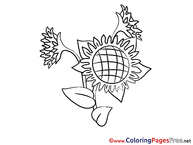 Litmus Colouring Sheet download free