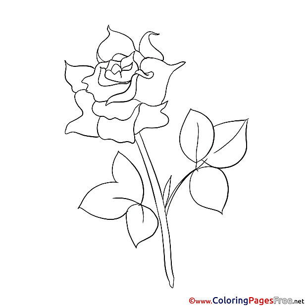 Painting Rose Kids download Coloring Pages