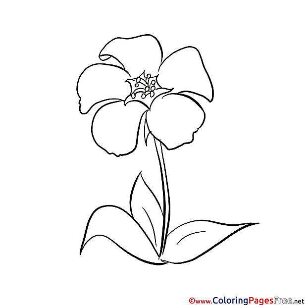 Picture free printable Coloring Sheets