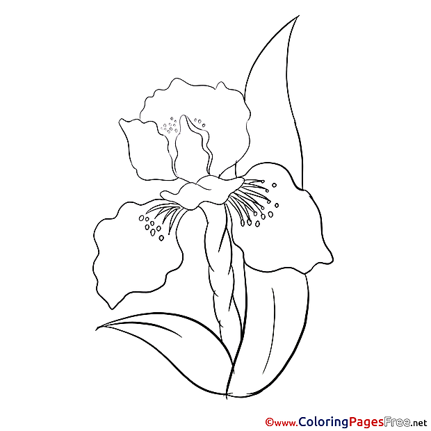 Picture printable Coloring Pages for free