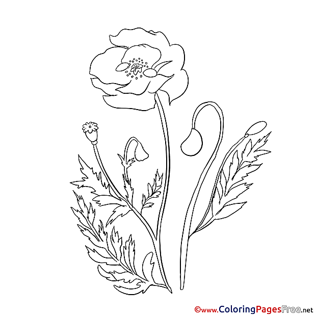 Poppy Children Coloring Pages free