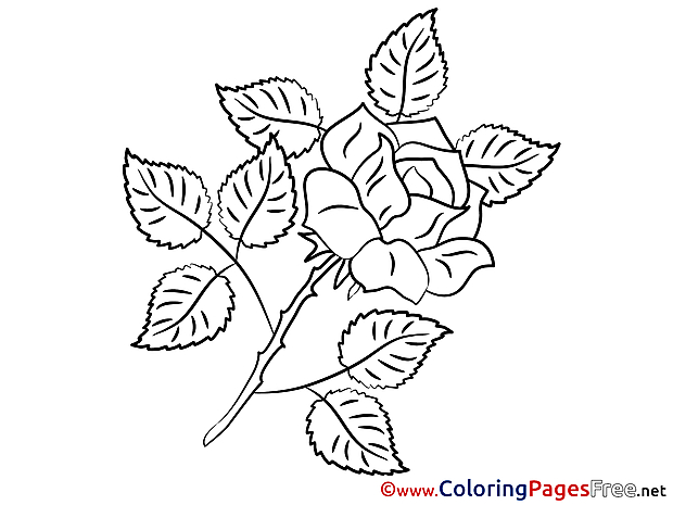 Rose Kids download Coloring Pages