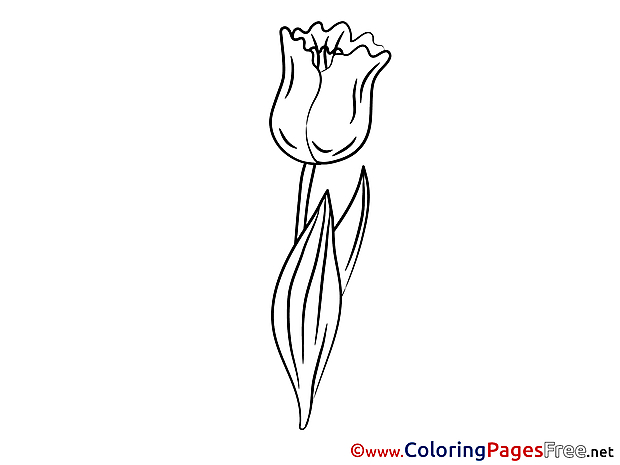 Tulip for Kids printable Colouring Page