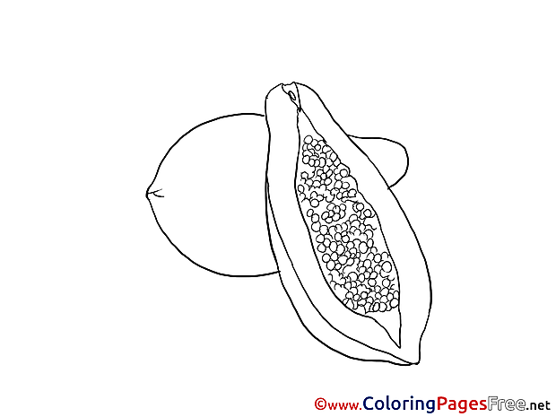 Avocado free Colouring Page download