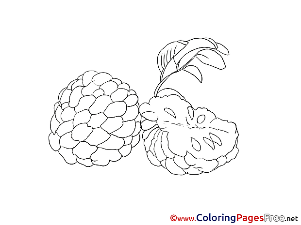 Download Fruits Colouring Sheet free