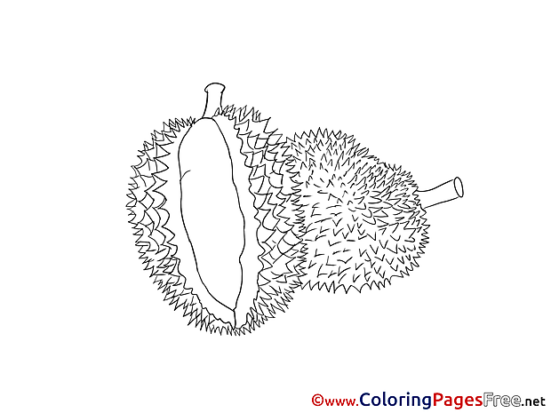 Kids free Coloring Page Fruit