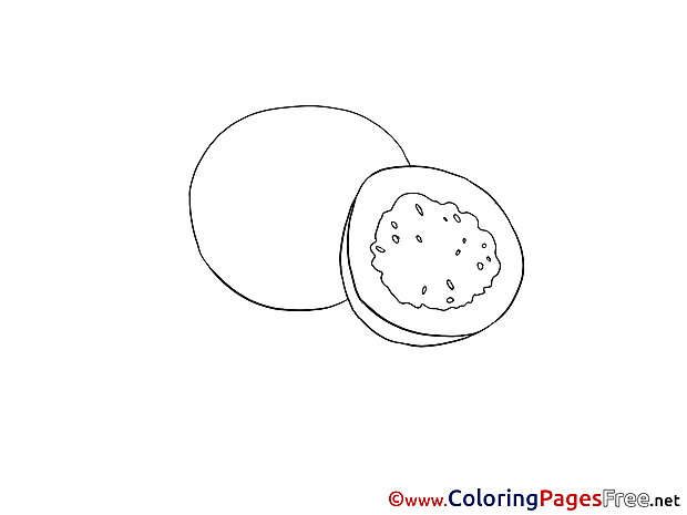 Kiwi for free Coloring Pages download