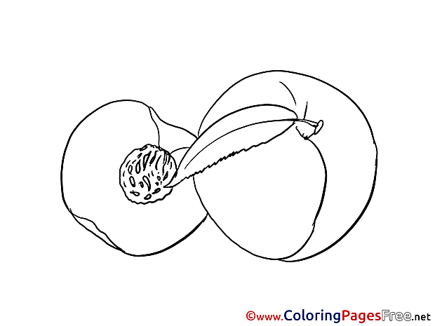 Peach Colouring Sheet download free