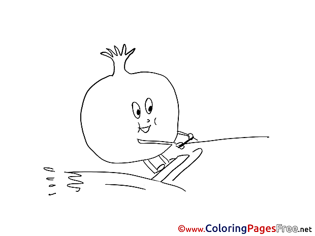 Pomegranate for Children free Coloring Pages